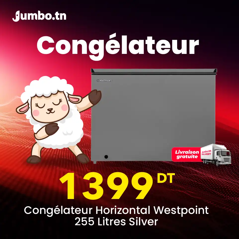Congélateur Horizontal Westpoint